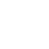 Google Plus +